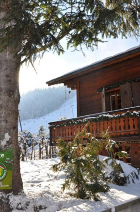 Le Petit Liseron Morzine